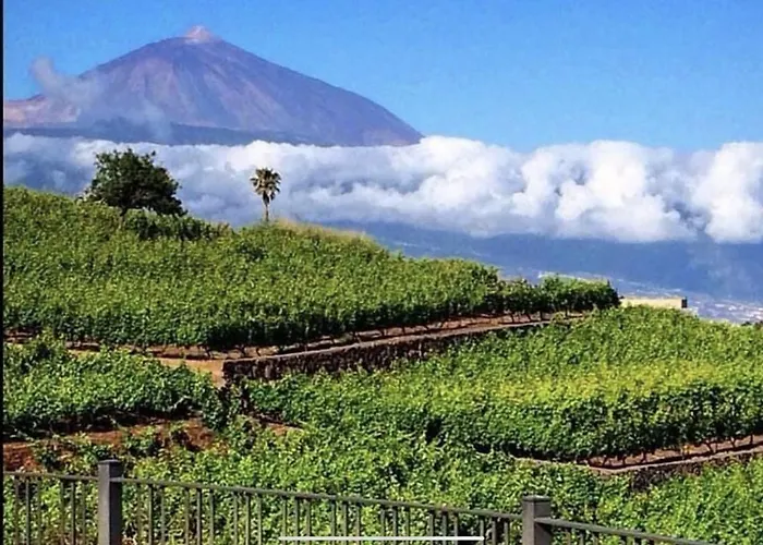 Playa Del Duque-amazing Views 2 Bedroom *